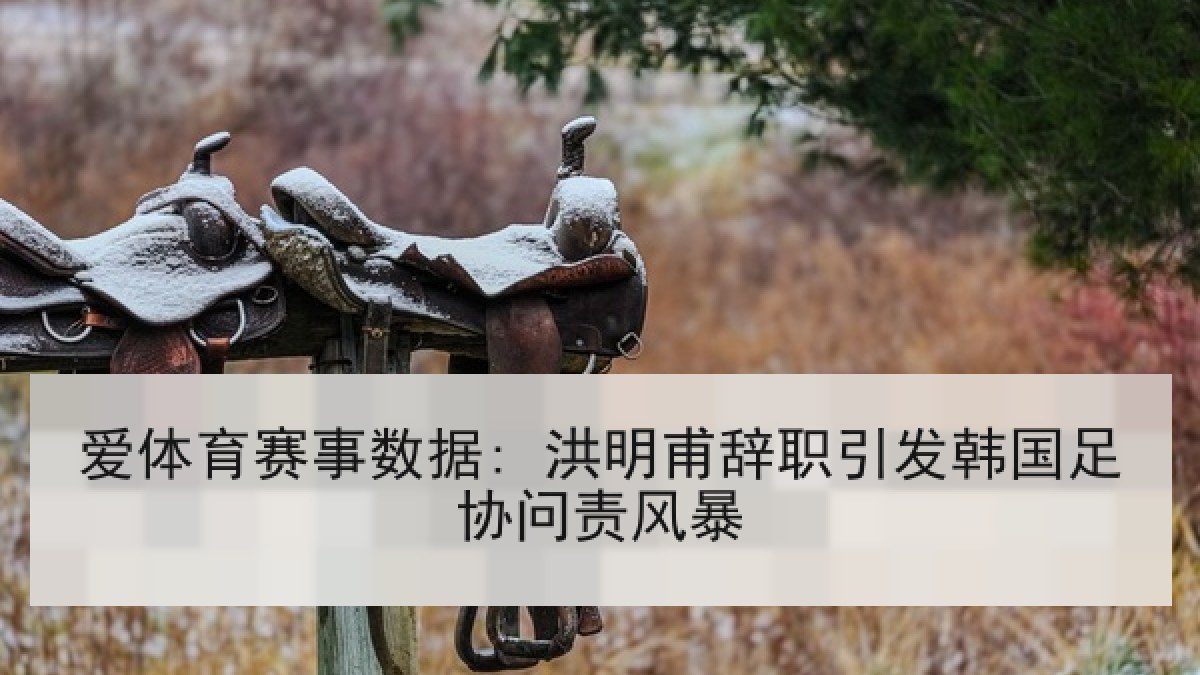 爱体育赛事数据: 洪明甫辞职引发韩国足协问责风暴