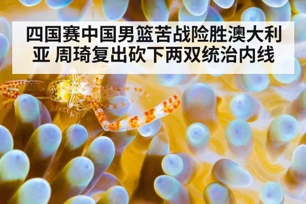 四国赛中国男篮苦战险胜澳大利亚 周琦复出砍下两双统治内线
