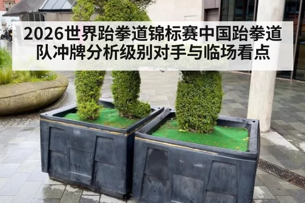2026世界跆拳道锦标赛中国跆拳道队冲牌分析级别对手与临场看点